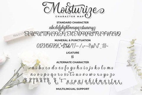 Moisturize Script Font + Alternative Characters and Swirls Font So Fontsy VIP Design Shop 
