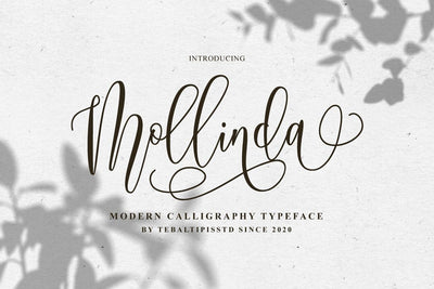 Mollinda Script - Typeface Font Fadeline Std. 