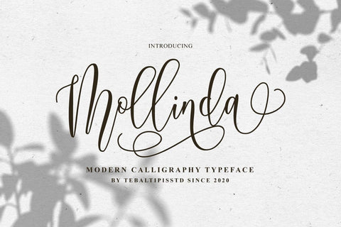 Mollinda Script - Typeface Font Fadeline Std. 