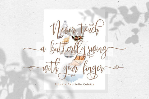 Mollinda Script - Typeface Font Fadeline Std. 