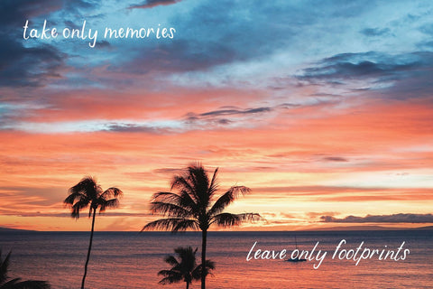 Molokai Sans Duo Font Beck McCormick 