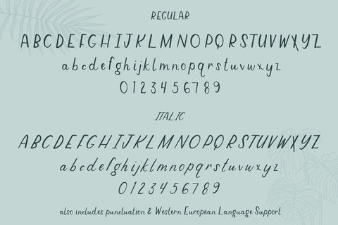 Molokai Sans Duo Font Beck McCormick 