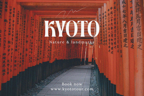 Monache - Display Serif Font Font studioalmeera 