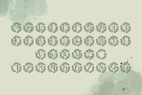 Monarcelle Monogram Font Font Dm Letter Studio 