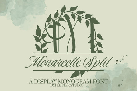 Monarcelle Split Monogram Font Font Dm Letter Studio 