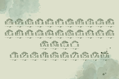 Monarcelle Split Monogram Font Font Dm Letter Studio 