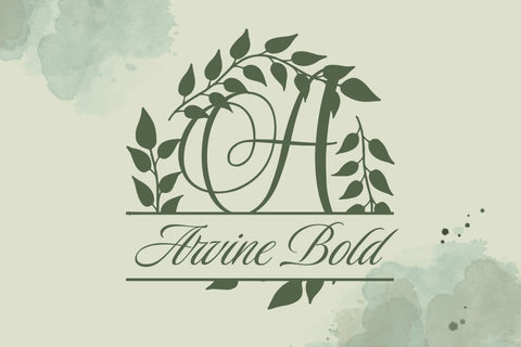 Monarcelle Split Monogram Font Font Dm Letter Studio 