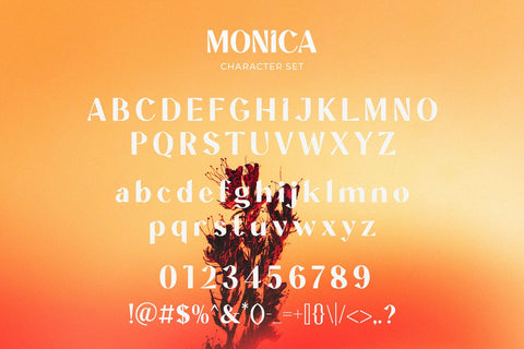 Monica - Unique Display Sans Serif Font studioalmeera 