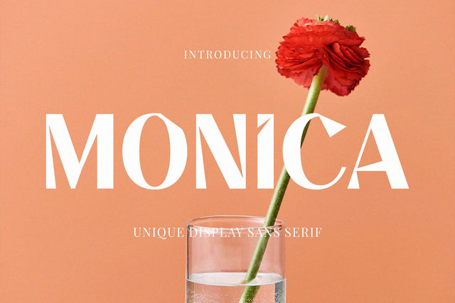 Monica - Unique Display Sans Serif Font studioalmeera 