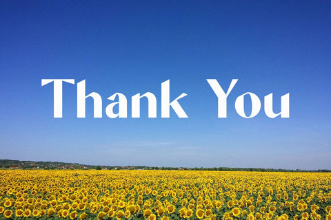 Monica - Unique Display Sans Serif Font studioalmeera 