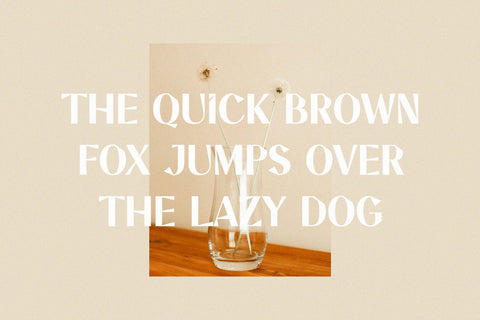 Monica - Unique Display Sans Serif Font studioalmeera 