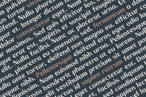 Monk - Display Font Font Alpaprana Studio 