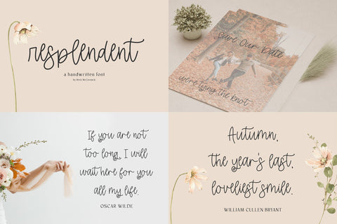 Monoline Font Mini Bundle Font Beck McCormick 