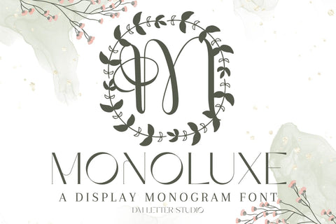 Monoluxe Monogram Font Font Dm Letter Studio 
