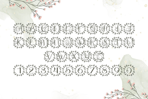 Monoluxe Monogram Font Font Dm Letter Studio 