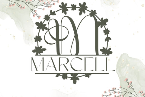 Monoluxe Split Monogram Font Font Dm Letter Studio 