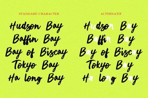 Montany Font gatype 