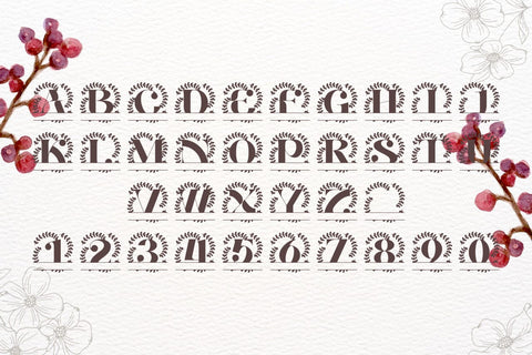 Montclaire Split Monogram Font Font Dm Letter Studio 