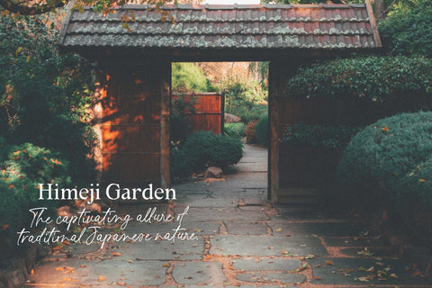 Montpier – Font Duo Font Four Lines Std. 