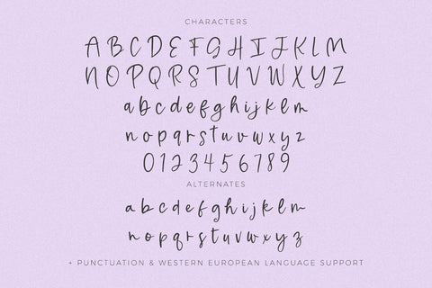 Moonbeam Script Font Beck McCormick 