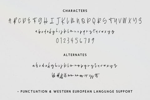 Moonlighter Script Font Beck McCormick 