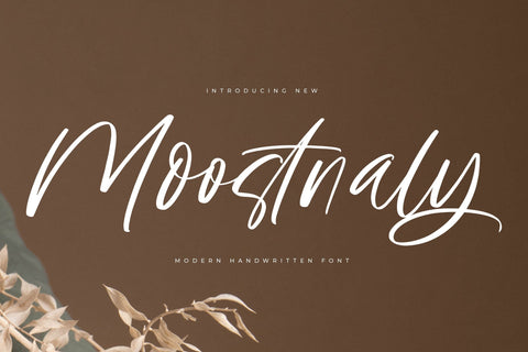 Moostnaly - Modern Handwritten Font Font Letterena Studios 