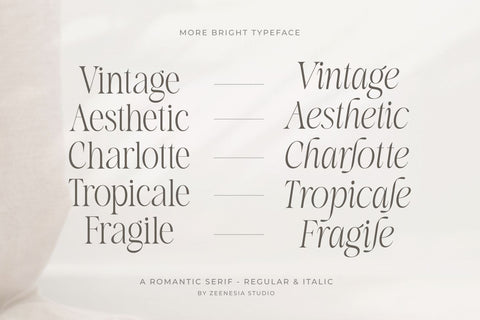 More Bright Font Zeenesia Std 