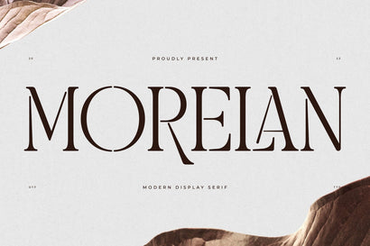 Morelan Typeface Font Storytype Studio 