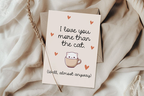 Morning Glow Font Cotton White Studio 