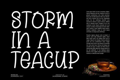 Morning Sunbeam - Handwritten Font Font Alpaprana Studio 