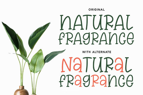 Morning Sunbeam - Handwritten Font Font Alpaprana Studio 