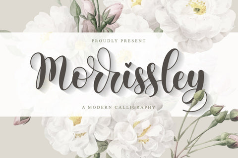 Morrissley | Modern Calligraphy Font studioalmeera 
