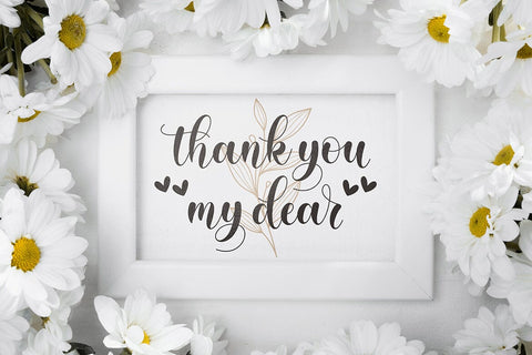 Morrissley | Modern Calligraphy Font studioalmeera 