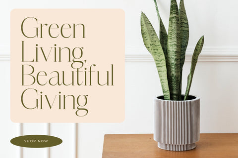 Mosbian - Modern Serif Font Font Letterena Studios 