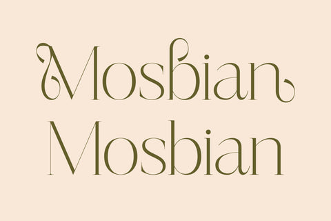 Mosbian - Modern Serif Font Font Letterena Studios 