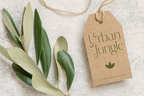 Mosbian - Modern Serif Font Font Letterena Studios 