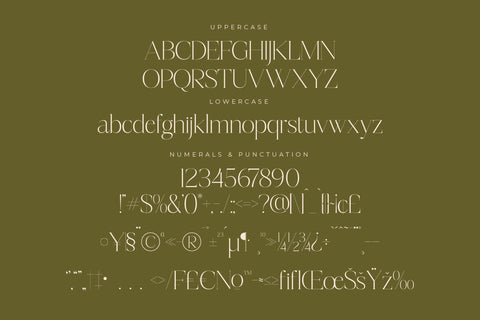 Mosbian - Modern Serif Font Font Letterena Studios 