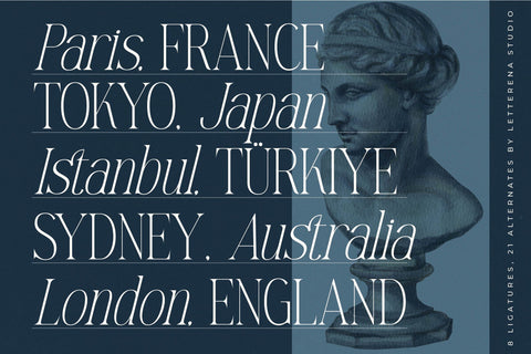 Mostlight - Modern Alternate Serif Font Letterena Studios 