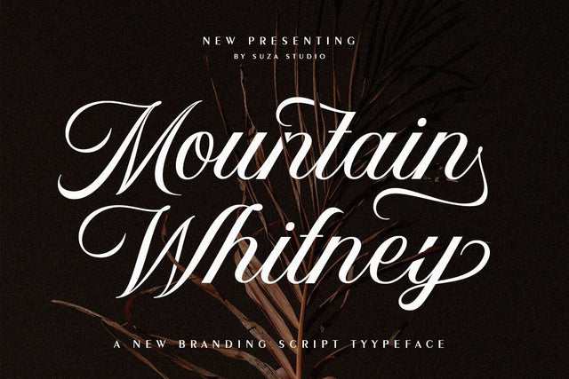 Mountain Whitney Font Suza Studio 