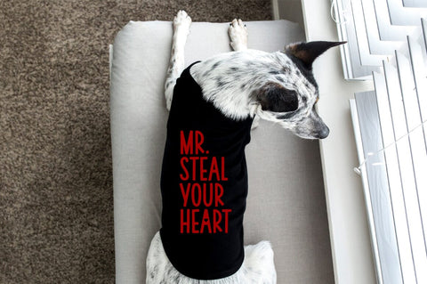 Mr. Steal Your Heart Valentine's Day SVG Sublimation Pickled Thistle Creative 
