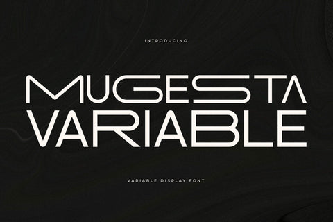 Mugesta - Variable Display Font Font Storytype Studio 