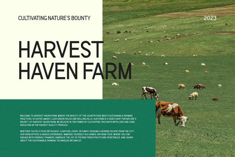 Mujair - Modern Sans Serif Font studioalmeera 