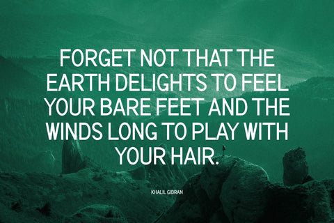 Mujair - Modern Sans Serif Font studioalmeera 