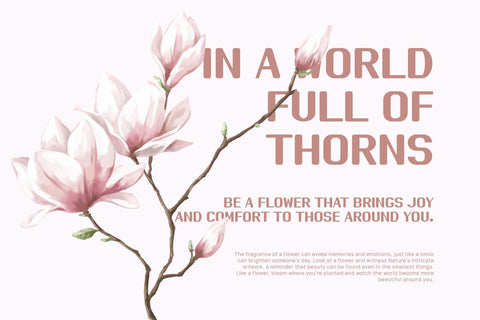 Muscar - Modern Sans Serif Font studioalmeera 