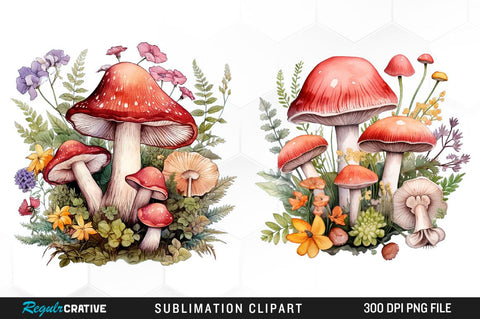 Mushrooms Watercolor Clipart Bundle Sublimation Regulrcrative 