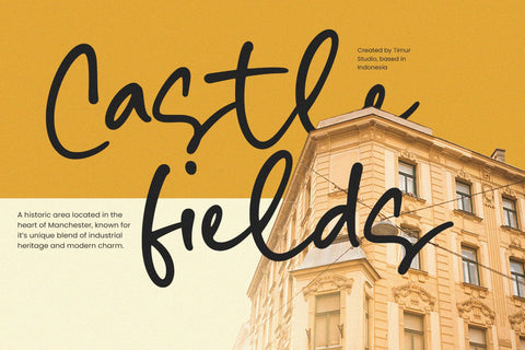 Mustard Nebula - Handwritten Script Font Font Timur type 