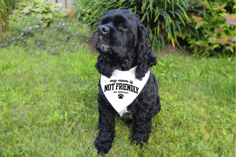 My Mom is Not Friendly SVG, Funny Dog Mom SVG SVG Pickled Thistle Creative 