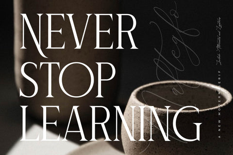 Naftegfo A New Modern Serif Font Storytype Studio 