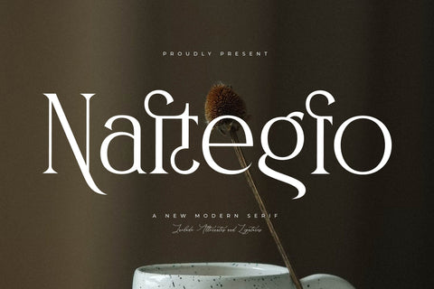 Naftegfo A New Modern Serif Font Storytype Studio 