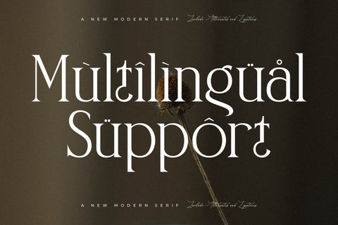 Naftegfo A New Modern Serif Font Storytype Studio 